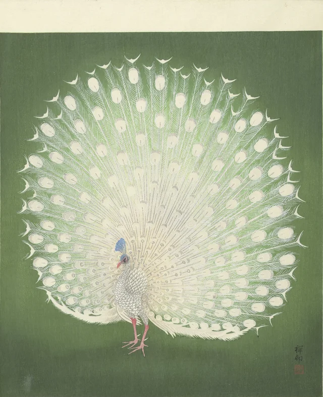 Pavo real, Ohara Koson