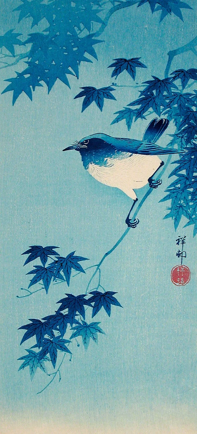 Bluebird on a Maple Branch, Ohara Koson