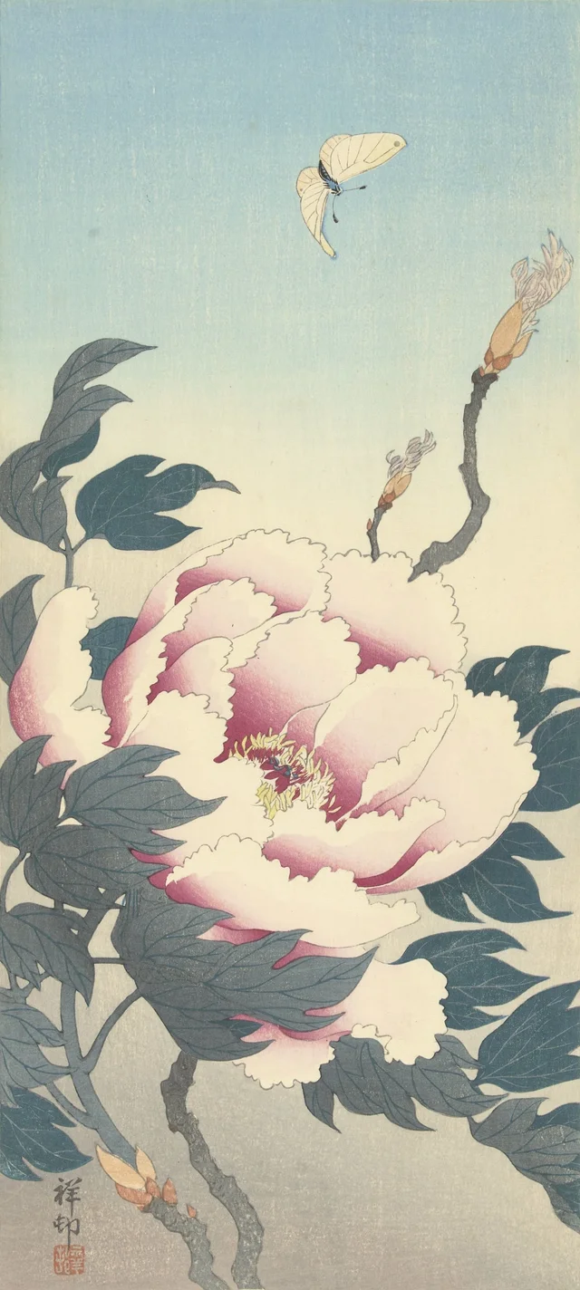 Pivoine et papillon