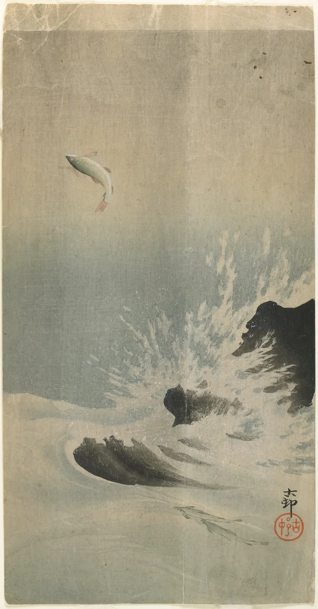 Poisson bondissant