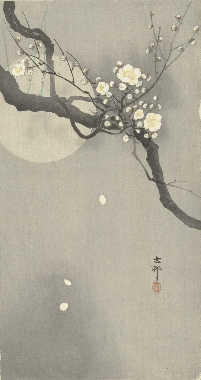 Prunier en fleurs et pleine lune