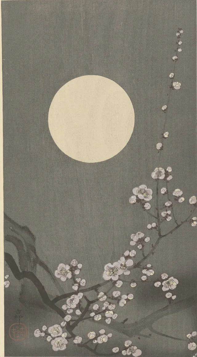 Prunier en fleurs sous la pleine lune
