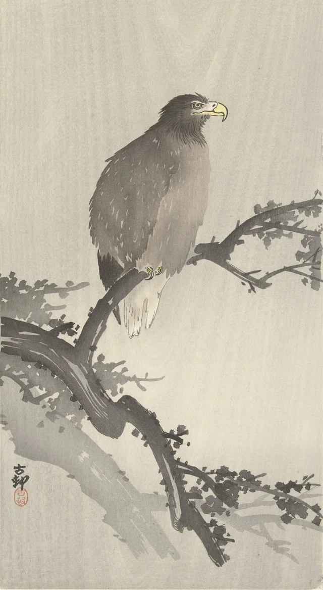 Pigargo sobre una rama, Ohara Koson