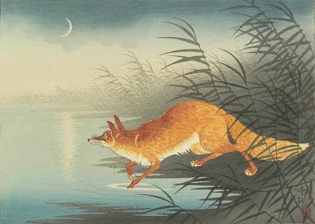 Fox by the Moonlit Water, Ohara Koson
