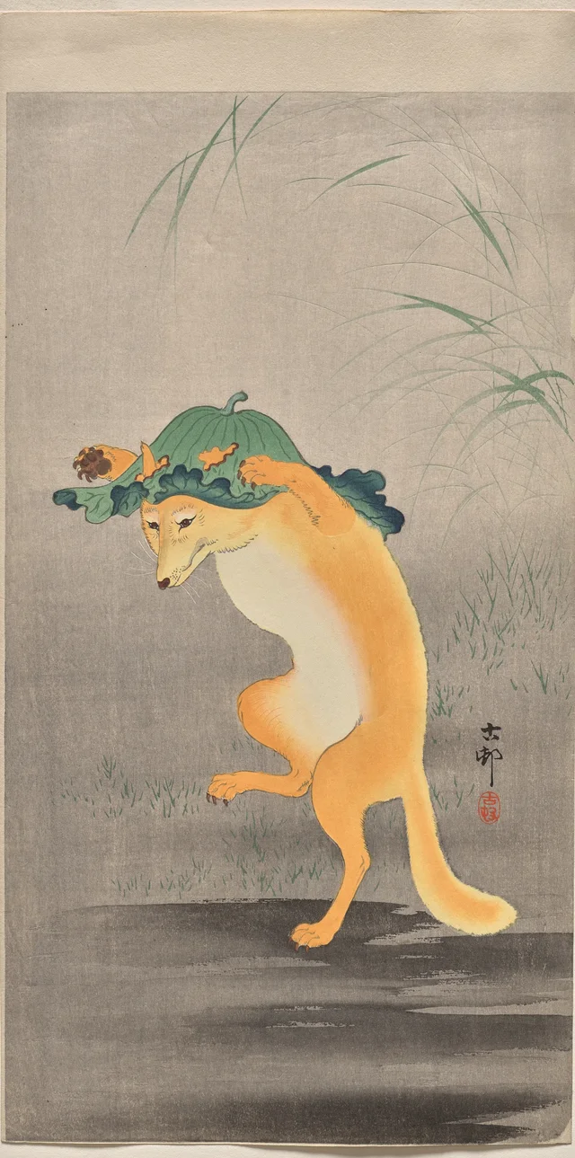 Renard dansant