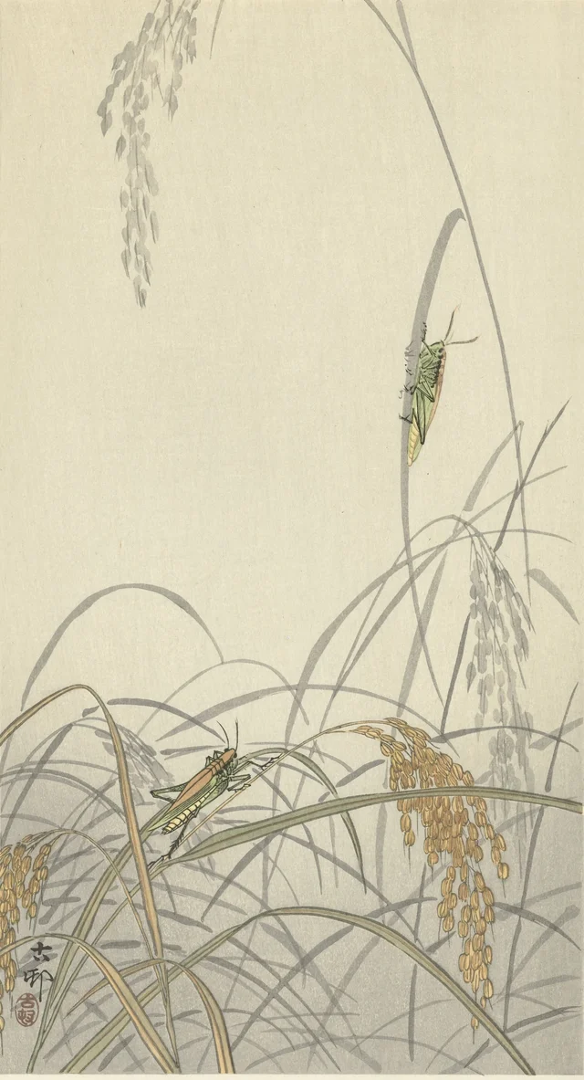 Saltamontes sobre plantas de arroz, Ohara Koson