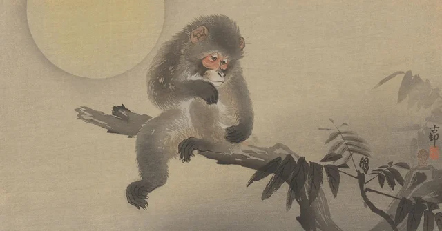 Singe sur une branche, sous la pleine lune