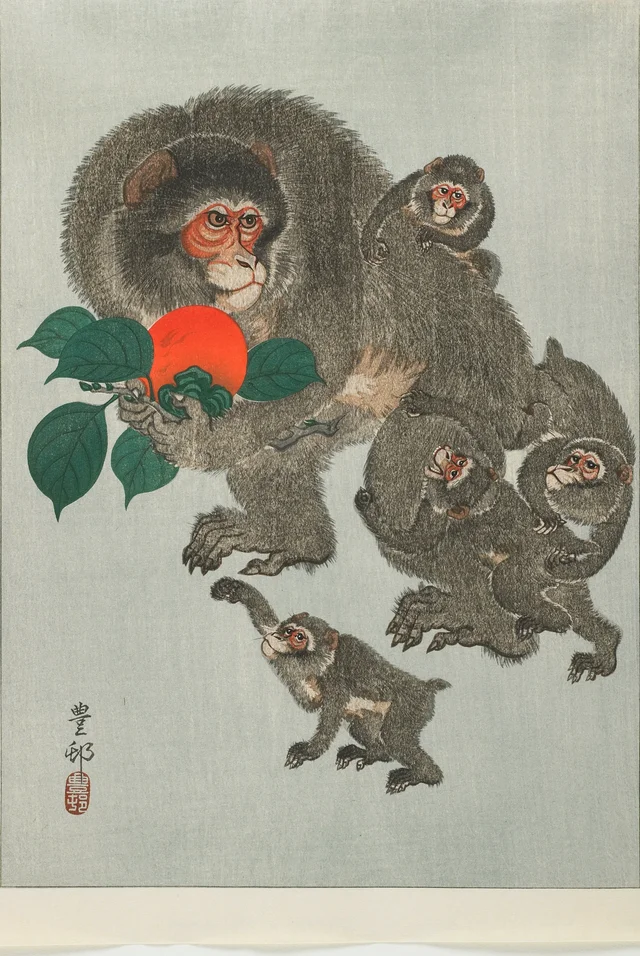 Singes et kaki
