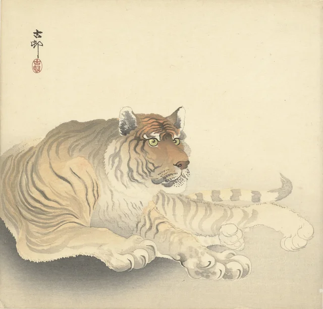 Tigre