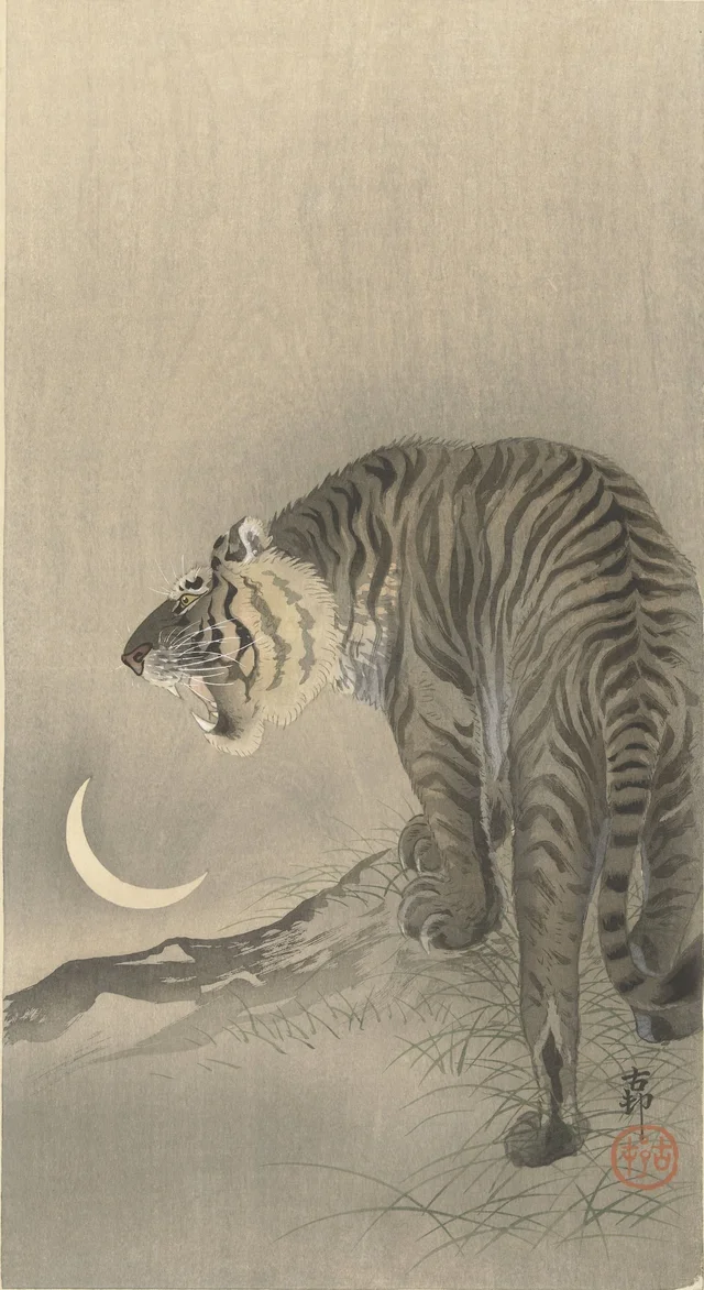Tigre rugissant