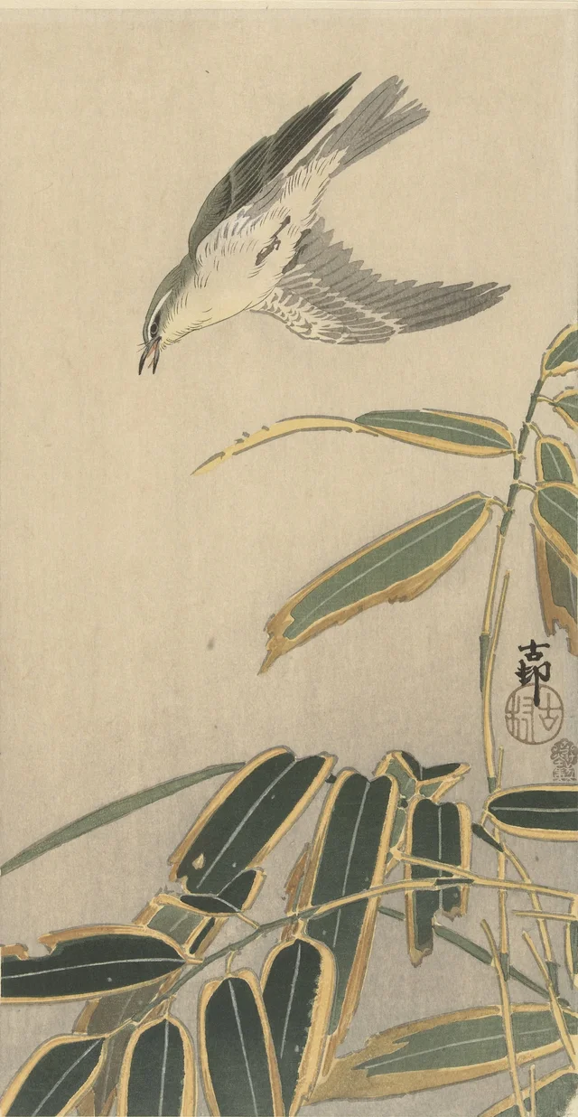 Traquet près d'un bambou