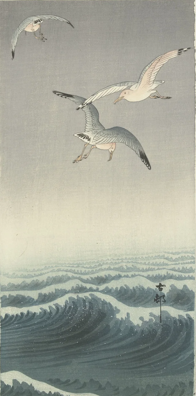 Trois mouettes