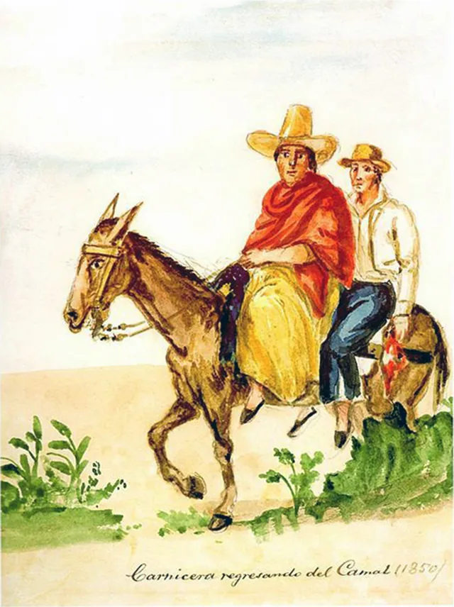 Butcher woman returning from the slaughterhouse, Pancho Fierro