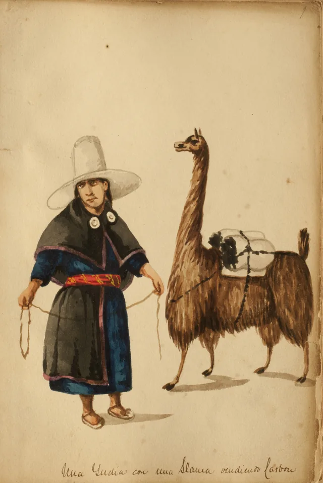 An Indian woman with a llama selling charcoal, Pancho Fierro
