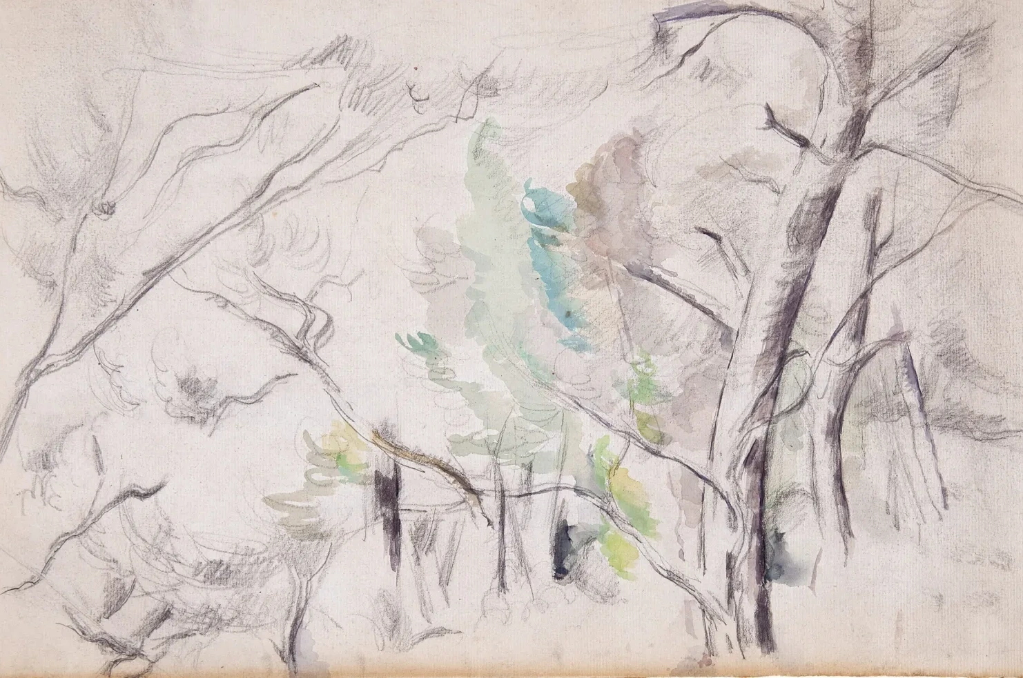 Arbres, Paul Cézanne