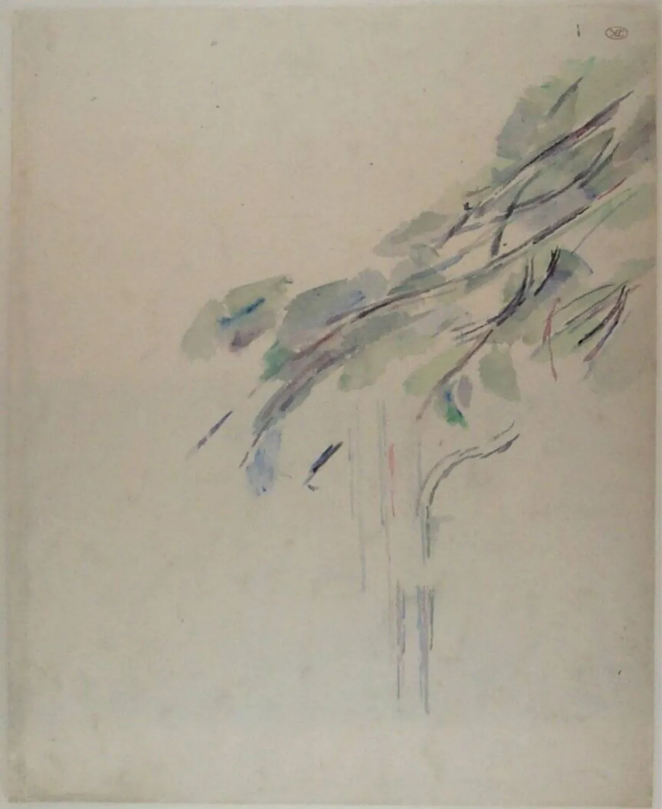 Etude pour un arbre, Paul Cézanne