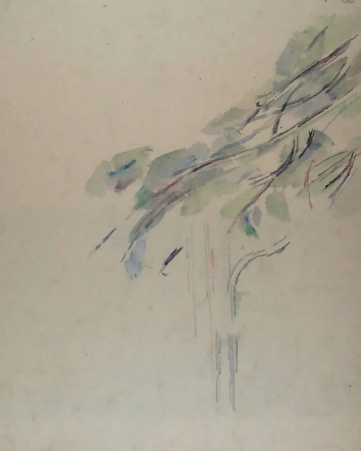 Etude pour un arbre, Paul Cézanne