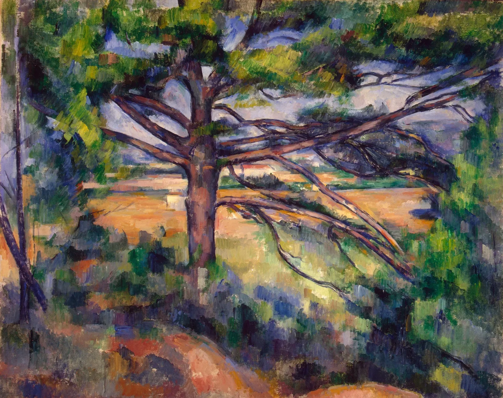 Grand pin et terres rouges, Paul Cézanne