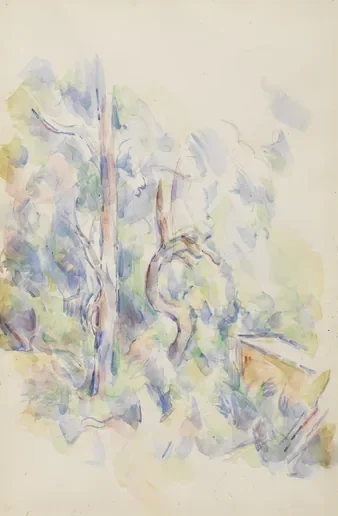 Arbre tordu et citerne dans le parc de Château Noir