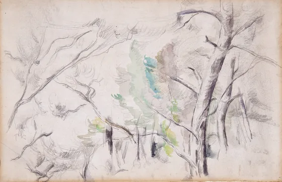 Arbres