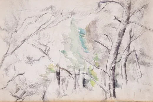 Arbres