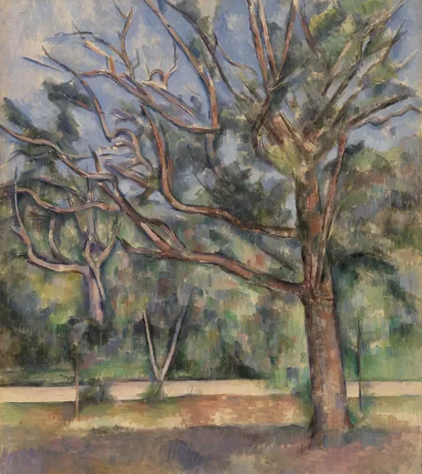 Arbres et route