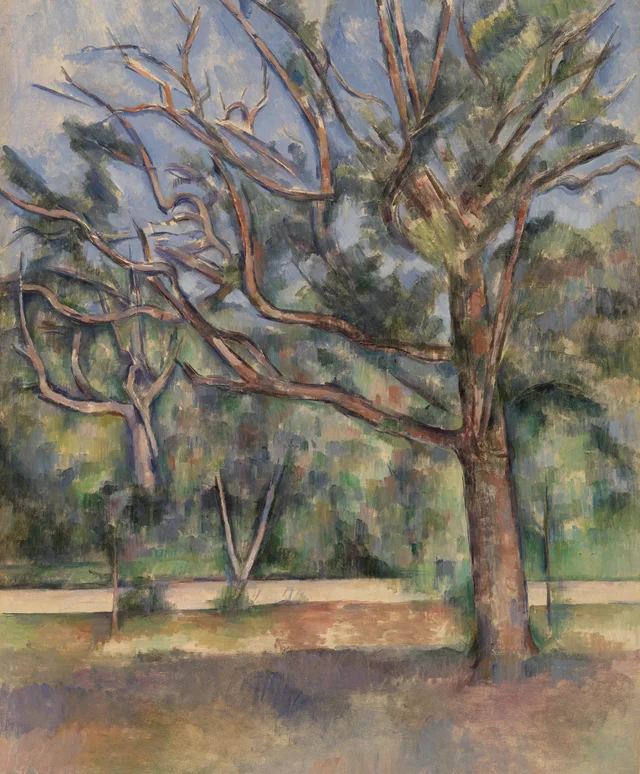 Árboles y camino