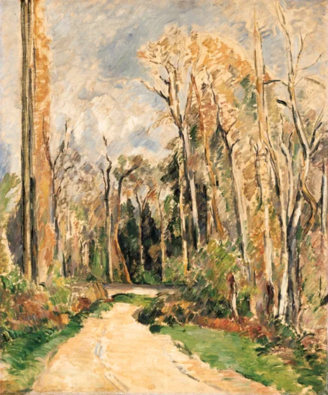 Chemin à l'entrée de la forêt