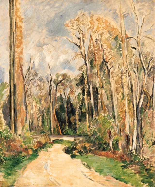 Camino a la entrada del bosque
