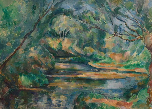 Agua corriente en el sotobosque
