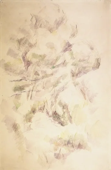 Etude d'arbres et de rochers