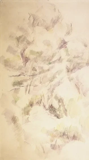 Etude d'arbres et de rochers