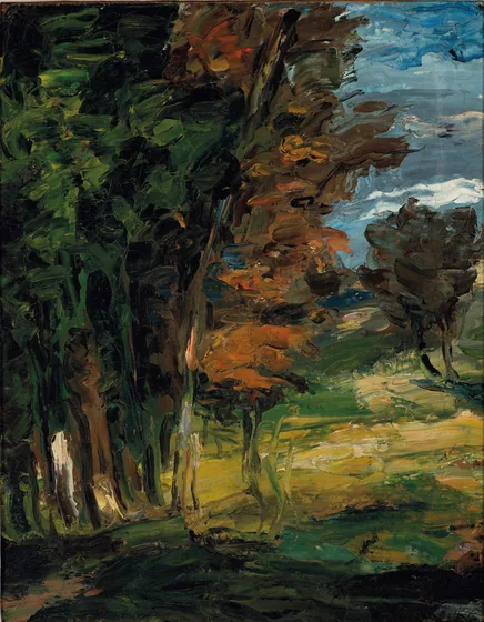 Landscape