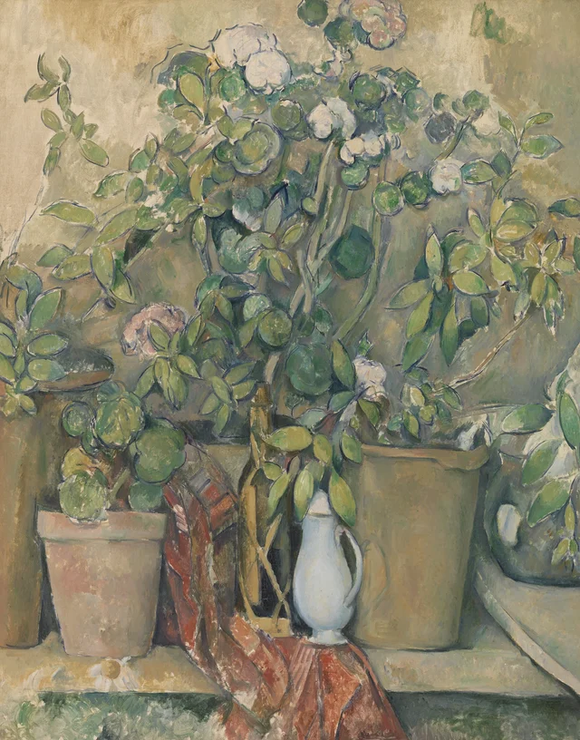 Tiestos de barro cocido y flores