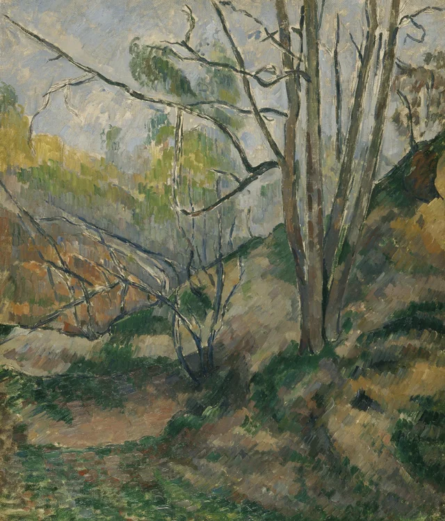 Sotobosque