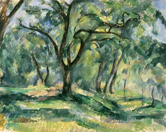 Sous-bois
