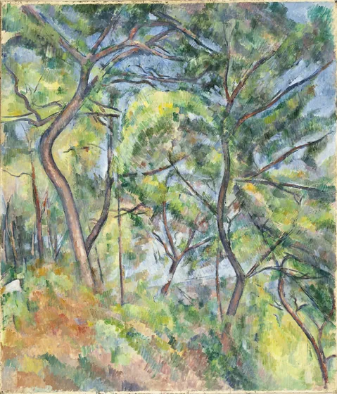 Sous-bois