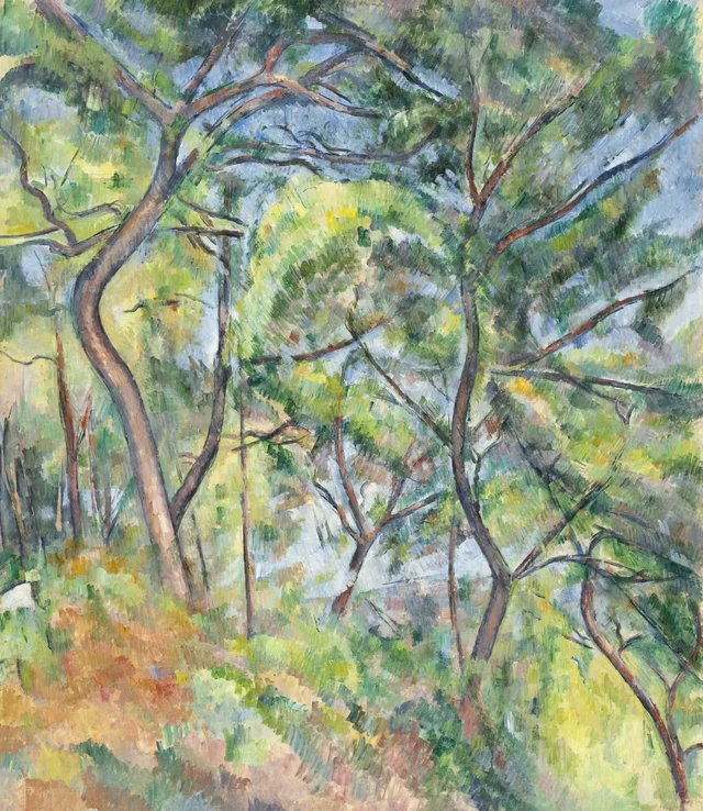 Sotobosque