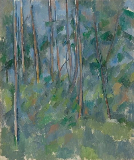 Sous-bois