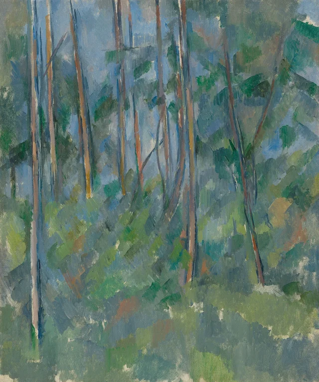 Sotobosque