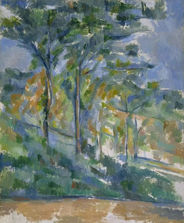 Sotobosque – El bosque
