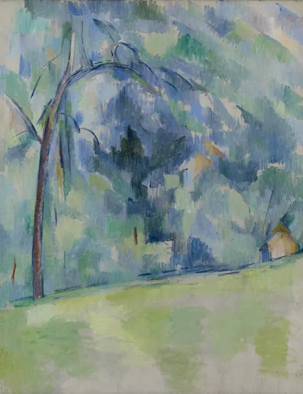 Sous-bois provençal