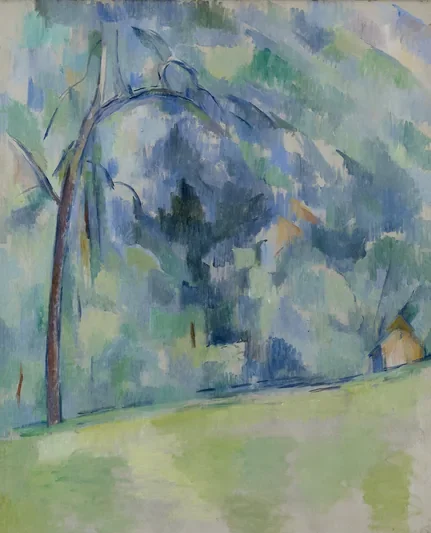 Sous-bois provençal