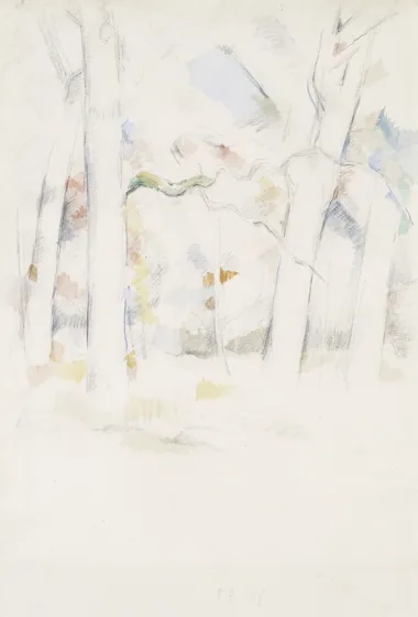 Sous-bois (Under the Trees)