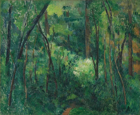 Sous-bois
