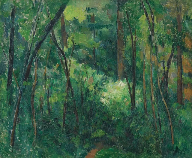 Sotobosque