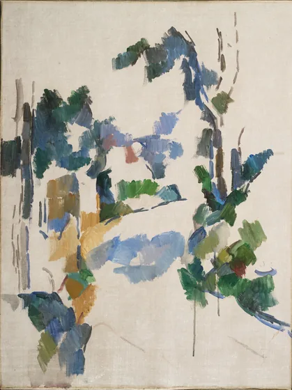 Study of Trees