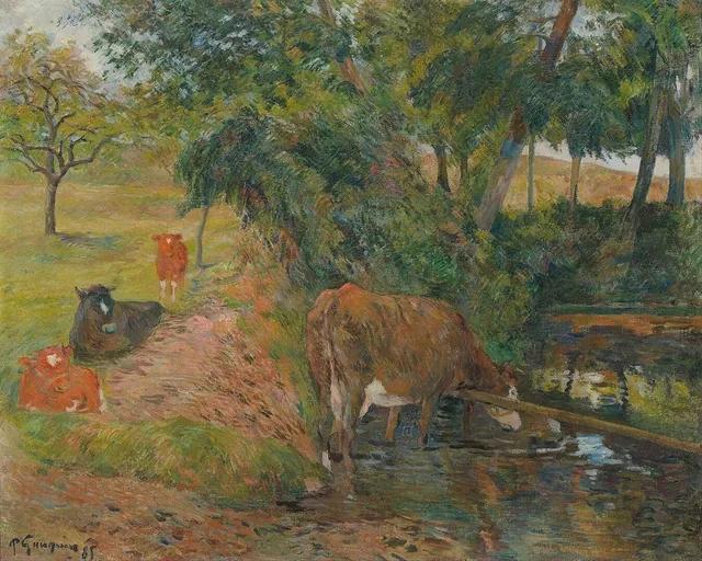 Vaches au repos
