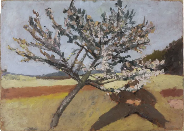 Man Lying beneath a Blossoming Tree, Paula Modersohn-Becker
