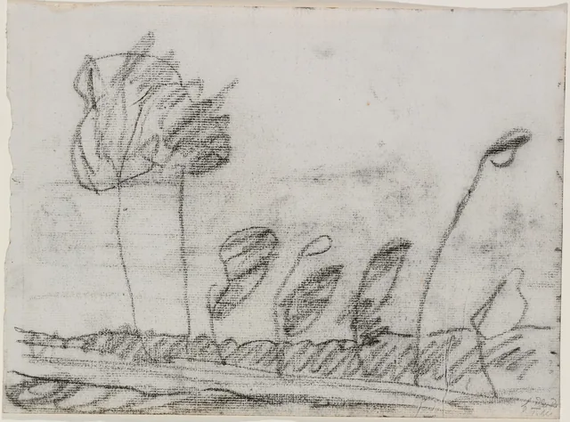 Seven Trees, Paula Modersohn-Becker